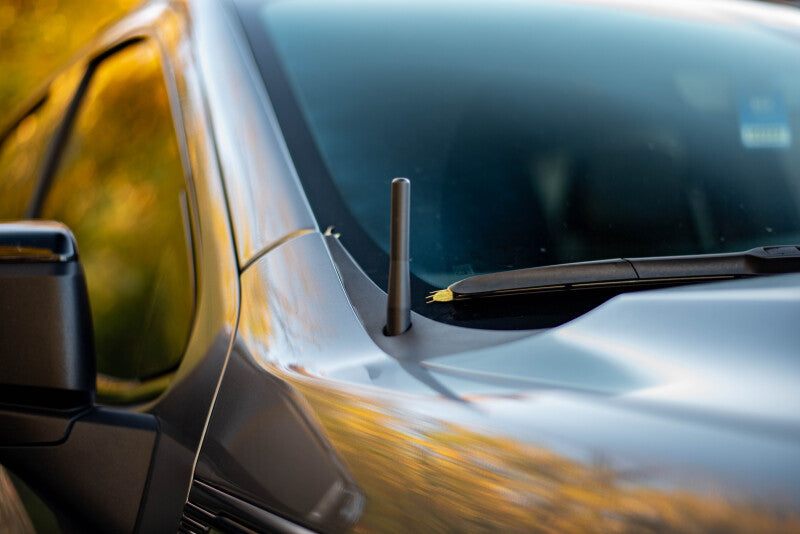 BuiltRight Industries 2019+ Silverado & Sierra Perfect-Fit Stubby Antenna