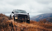 Load image into Gallery viewer, BuiltRight Industries 17-19 Ford Raptor Perfect-Fit Stubby Antenna