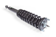 Load image into Gallery viewer, Photo - Close Up