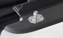 Load image into Gallery viewer, Photo - Mounted