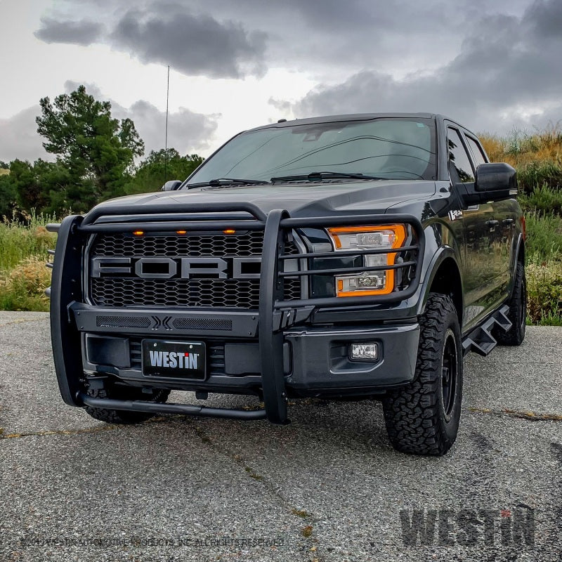 Westin 15+ Ford F150 Sportsman X Grille Guard - Textured Black