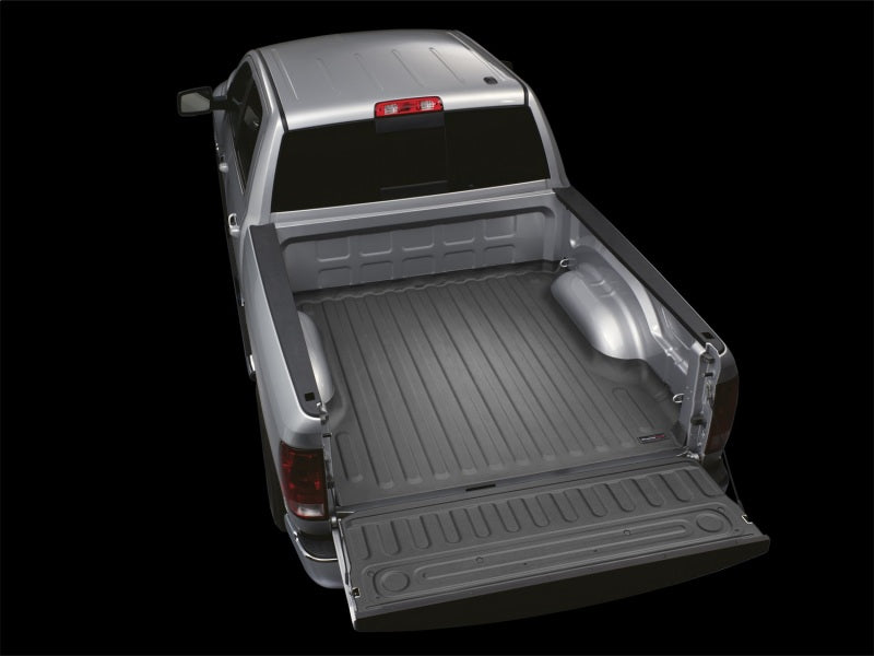 WeatherTech Ford F-150 TechLiner - Black