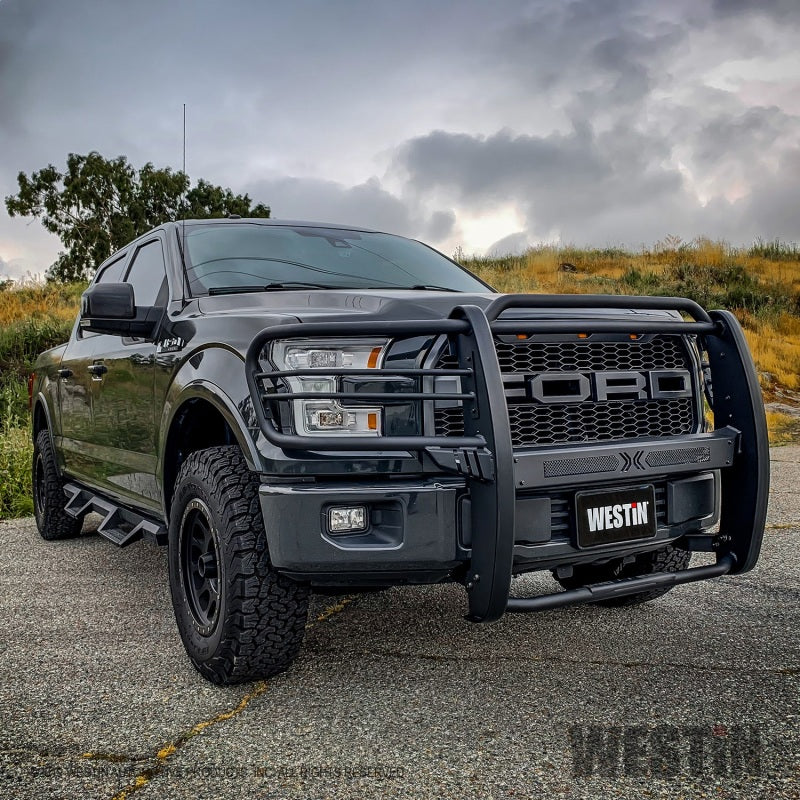 Westin 15+ Ford F150 Sportsman X Grille Guard - Textured Black