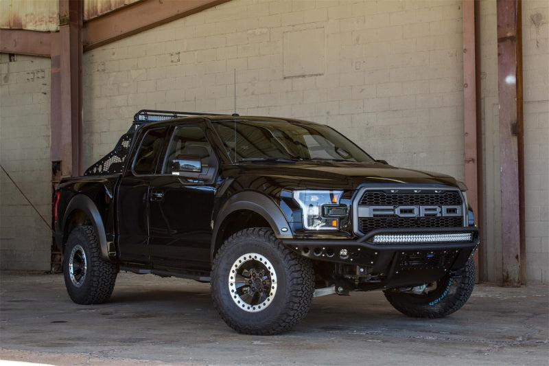 Addictive Desert Designs 17+ Ford F-150 Raptor Race Series Chase Rack w/ 2017 Grill Pattern