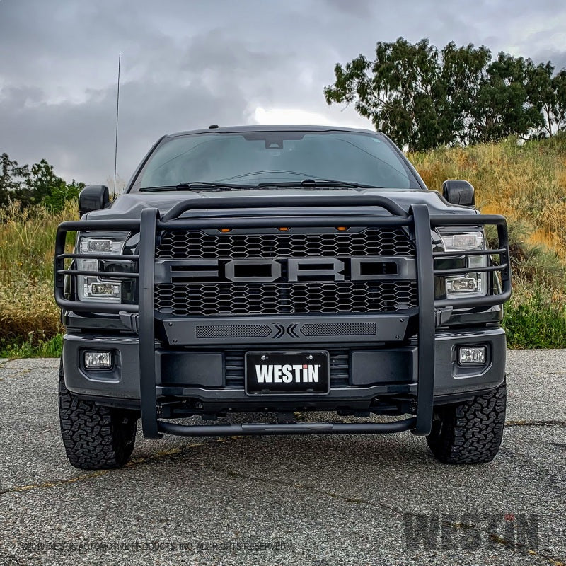 Westin 15+ Ford F150 Sportsman X Grille Guard - Textured Black