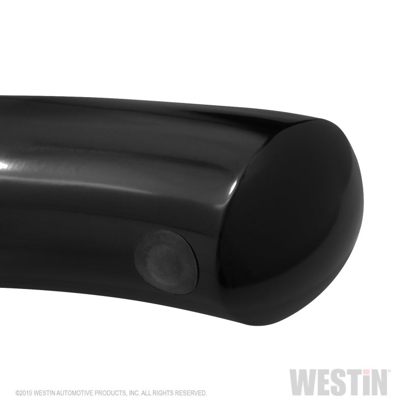 Westin 19+ Chevrolet Silverado / GMC Sierra 1500 Reg Cab PRO TRAXX 4 Oval Nerf Step Bars - Black